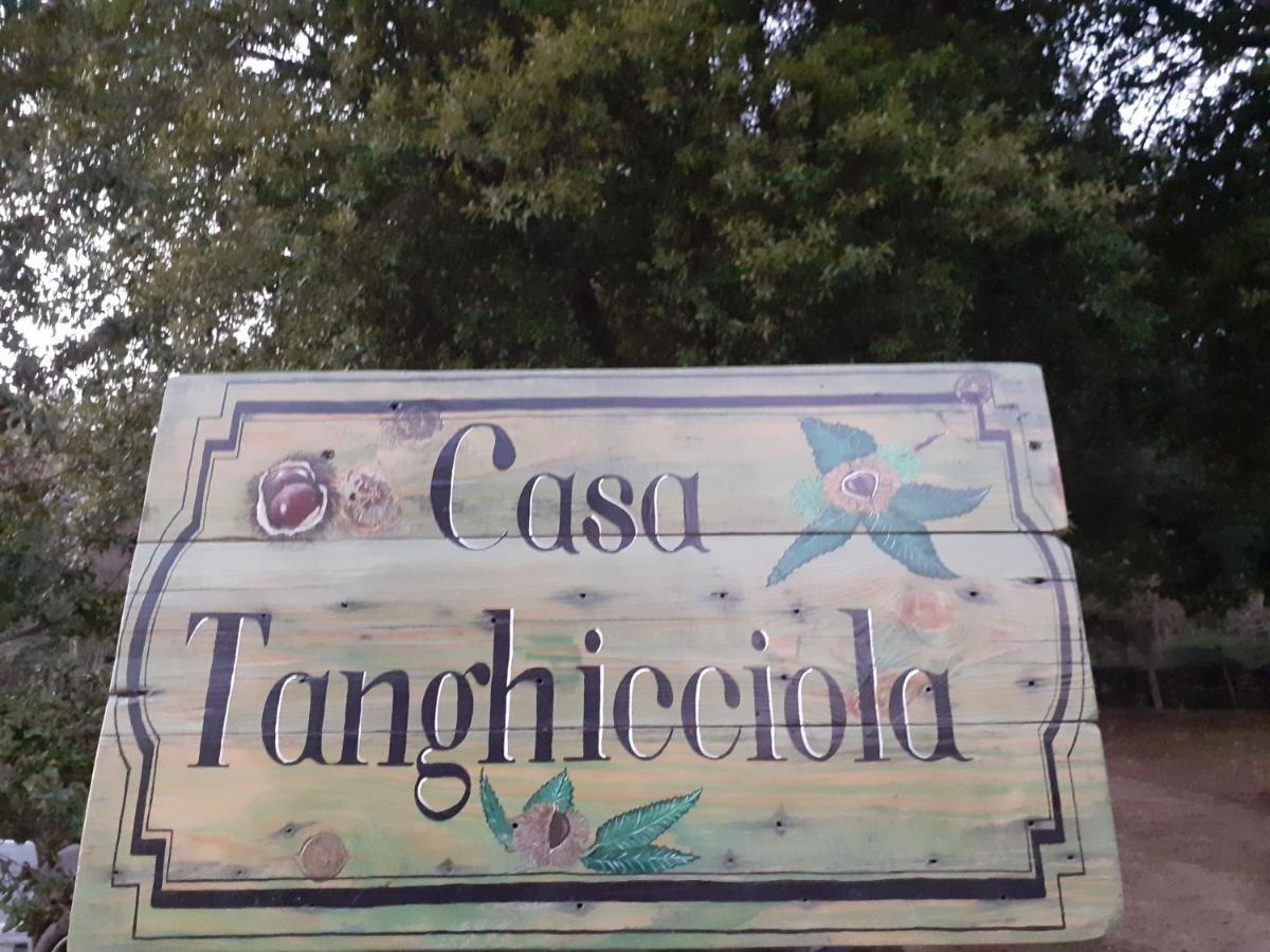 Appartamento Casa tanghicciola Levie Esterno foto