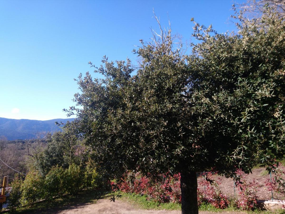Appartamento Casa tanghicciola Levie Esterno foto